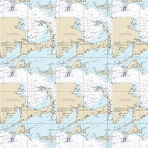 Cape Cod nautical map, small size
