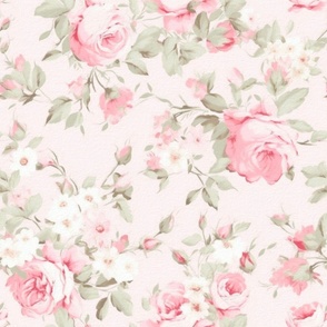 Elegant pink roses,light pink background 