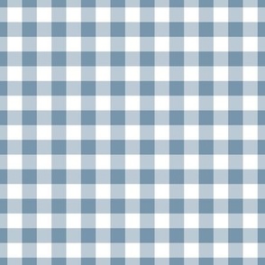 Dreamy Blue Grey Gingham Plaid / Medium