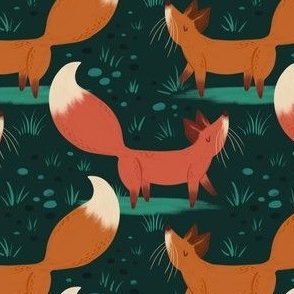 Furtive Foxes