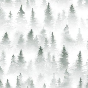 Foggy Pines
