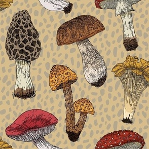 Vintage Mushrooms| Autumn inspired fungi antique wallpaper|  Home decor Fall Mushroom Fabric | Beige| Textured background