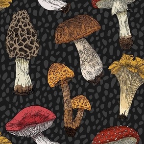 Vintage Mushrooms| Autumn inspired fungi antique wallpaper|  Home decor Fall Mushroom Fabric | Black| Textured background