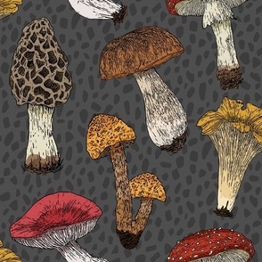Vintage Mushrooms| Autumn inspired fungi antique wallpaper|  Home decor Fall Mushroom Fabric | Grey| Textured background