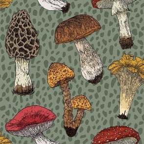 Vintage Mushrooms| Autumn inspired fungi antique wallpaper|  Home decor Fall Mushroom Fabric | Sage green| Textured background