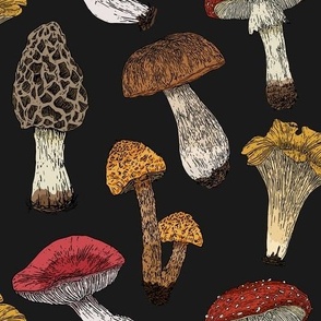Vintage Mushrooms| Autumn inspired fungi antique wallpaper|  Home decor Fall Mushroom Fabric | Black