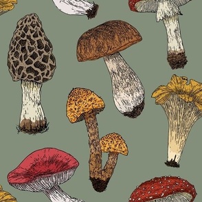 Vintage Mushrooms| Autumn inspired fungi antique wallpaper|  Home decor Fall Mushroom Fabric | Sage Green