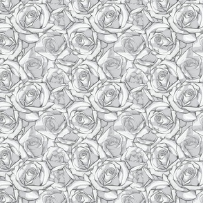 Elegant Silver Roses Formal Occasions 