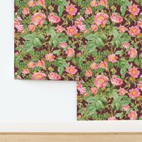 Vintage bright pink roses on burnt umber background / Large scale