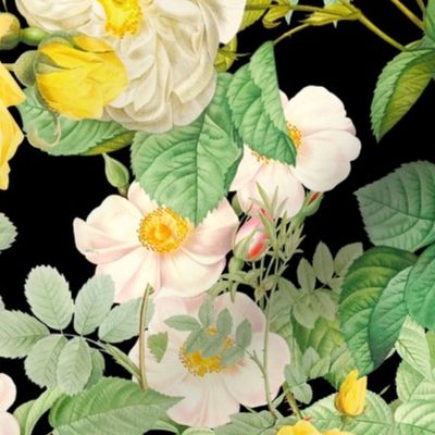 Vintage yellow roses on black noir background / Large scale