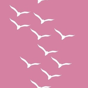 Seagulls - Sea Pink - small 7 inch