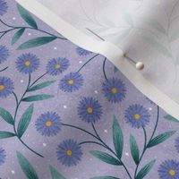 Aster September Birth Flower | Powder Blue Background