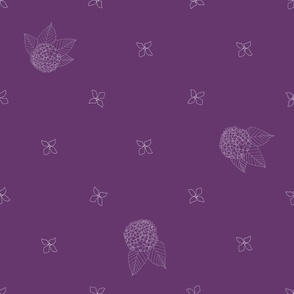Hydrangea Purples