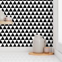 Black & White Triangles