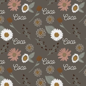 Coco: Nickainley Font on Owl Dandelions and Daisies
