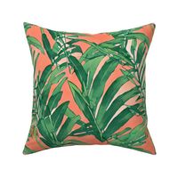 Coral background and palm leaves