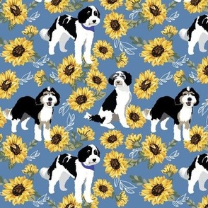 small print // Bernedoodle dog black white doodle dog yellow sunflower on blue denim