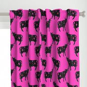 cow- block print - pink  background