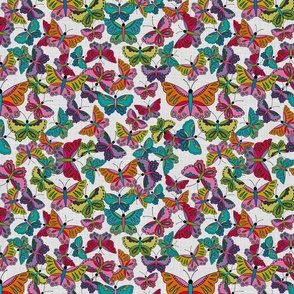 Butterfly dance - medium