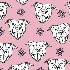 Pitbull Dog on Pink Background
