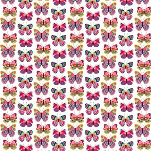 Butterfly Paint - small scale - Helen Bowler Designs