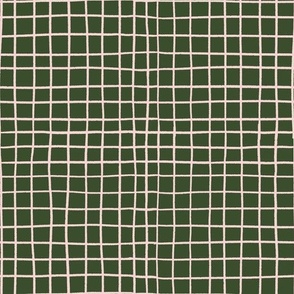 Hand Drawn Two Tone Grid Lines in Green  Background