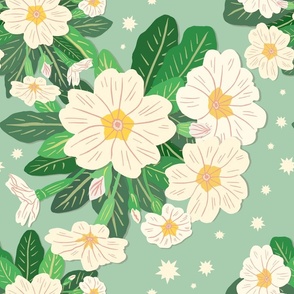 Primrose and Stars Pattern