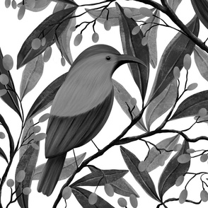 African monochrome sugarbird botanical (large)