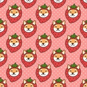 Shiba Inu - funny strawberry