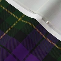 Abercromby / Abercrombie 1876 tartan or Wilsons #64, 6" purple and green muted