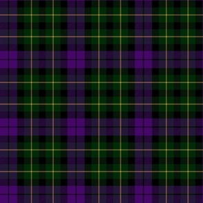 Abercromby / Abercrombie 1876 tartan or Wilsons #64, 6" purple and green muted