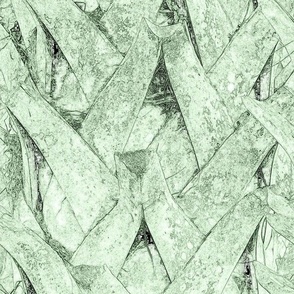 Palm Tree Bark Woven Texture Tropical Beach Natural Fun Rustic Rugged Nautical Real Nature Neutral Interior Earth Tones Sussex Light Kelly Green A7BFA3 12 in x 26 in Repeat Artistic Sketch Subtle Modern Abstract Photograph