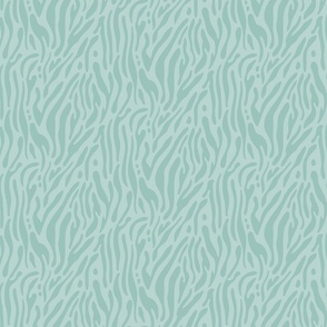 Turquoise zebra / Small scale