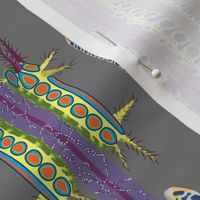 3x9-Inch Repeat of Vibrant Patterns from Caterpillars, with a Starfish Stripe