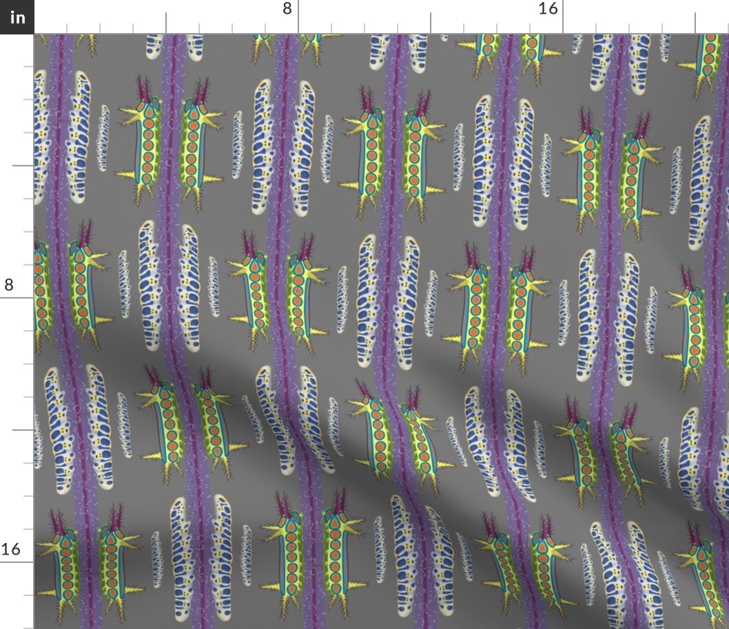 3x9-Inch Repeat of Vibrant Patterns from Caterpillars, with a Starfish Stripe