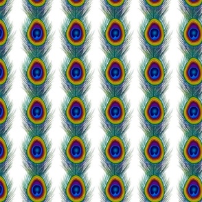 Stripes Bright Fun Peacock Feathers Modern Illustrated Abstract Animal Print Rainbow Avocado Feathers 