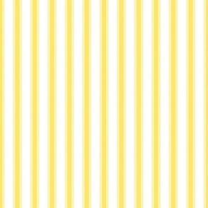 Yellow Stripe Small