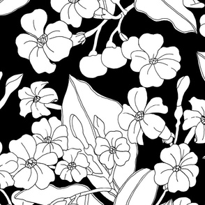 large -Graphic Pua Kenikeni-black and white