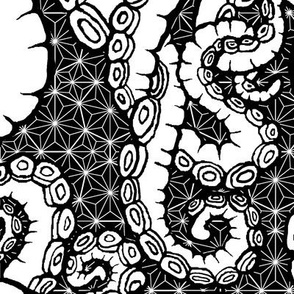 (L) Tentacoli! BW 24x32 LeonardosCompass Octopus Tentacles in Black and White on Heptagon Lattice 14723918