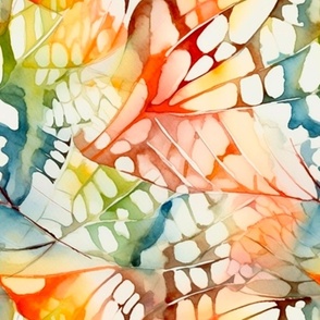 contrasting colors, butterfly wings