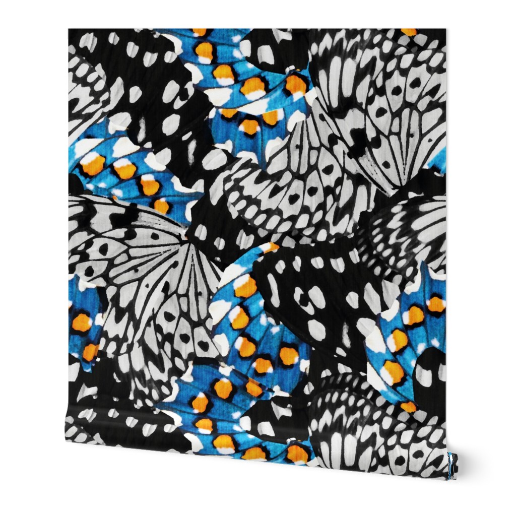 Winged spots // large jumbo scale // black and white bluebell blue and marigold orange butterfly and moth abstract animal print