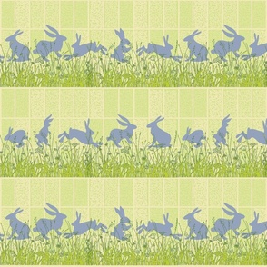 rabbits on the lawn