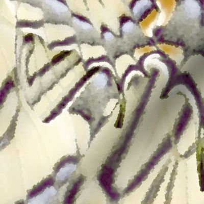 animal print butterflies soft yellow n grey
