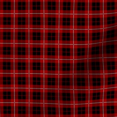 Small Scottish Clan Cummingham Tartan Plaid