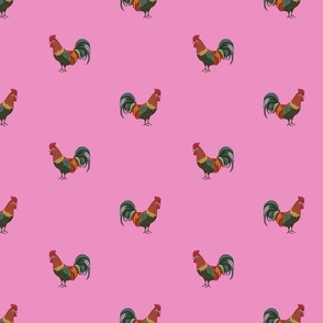 Solo Rooster Bright Pink
