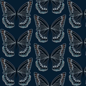 BUTTERFLY on dark background