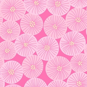 Lazy Daisies - pink