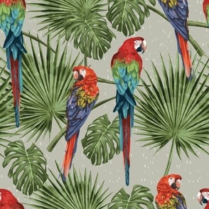 Macaws on Palm and Monstera Leaves