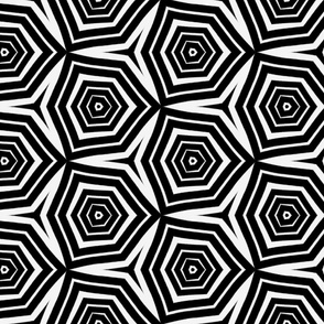 Black+White concentric polygons