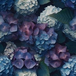 Hydrangeas in Bloom (L)